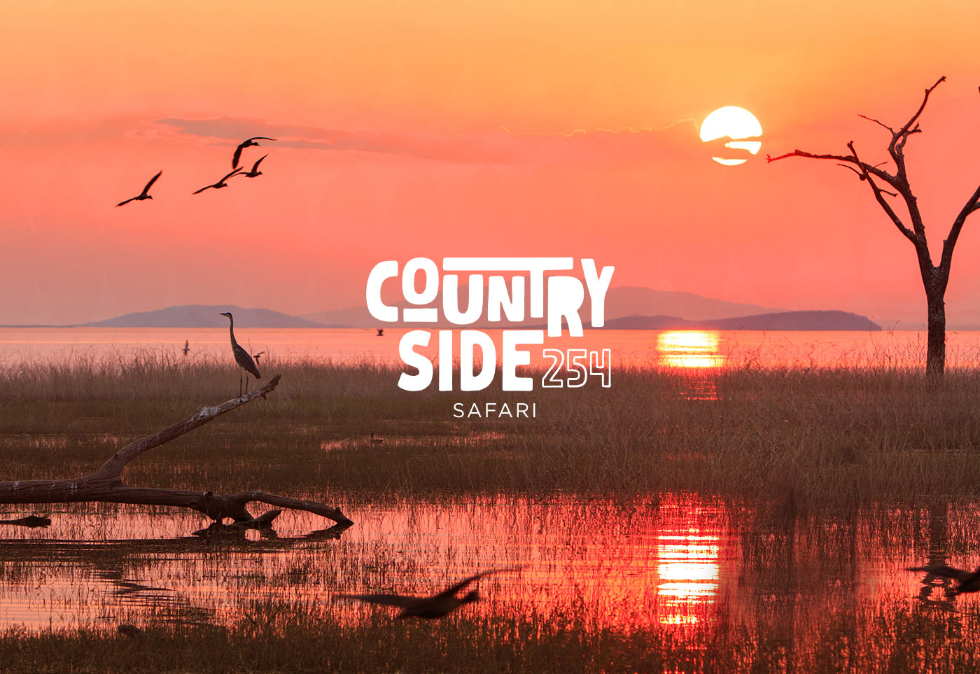 Coucher de soleil orangé sur un lac avec des oiseaux, un oiseau sur une branche morte et le logo de Country Side 254.